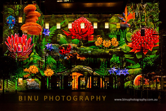Vivid_Sydney_2015_20150527_0058