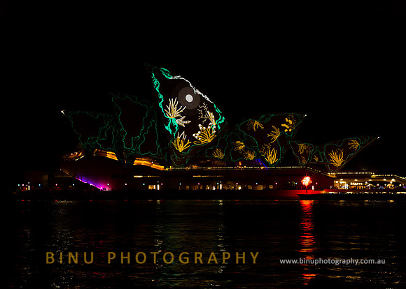 Vivid_Sydney_2015_20150527_0045