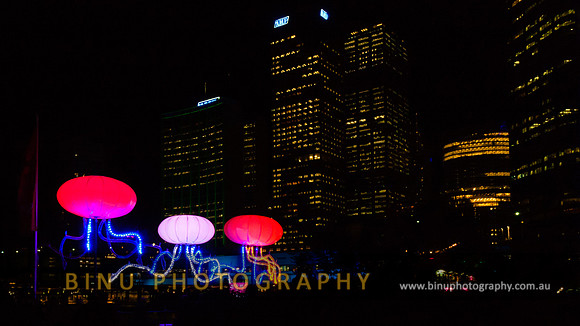 Vivid_Sydney_2011_20110602_0059