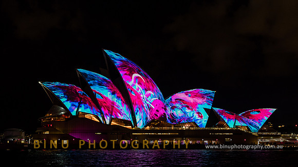 Vivid_Sydney_2017_20170526_0005