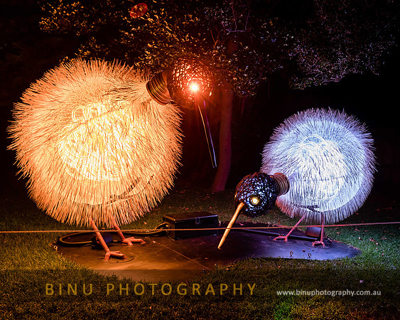 Vivid_Sydney_2017_20170615_0020