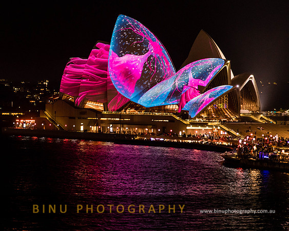 Vivid_Sydney_2017_20170615_0045