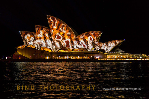 Vivid_Sydney_2014_20140603_0015