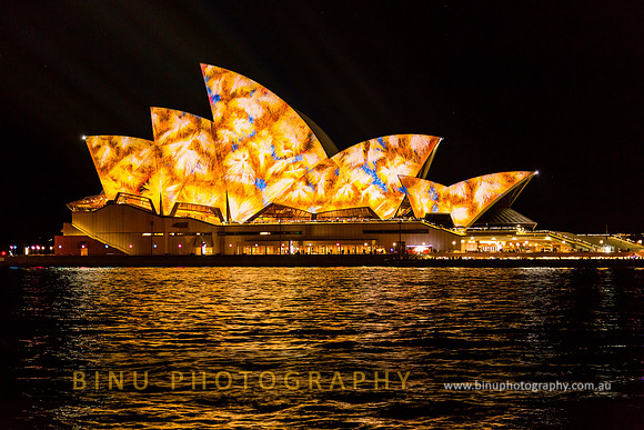 Vivid_Sydney_2014_20140603_0017