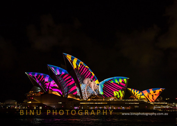 Vivid_Sydney_2017_20170526_0004