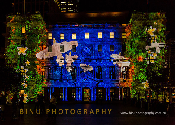 Vivid_Sydney_2015_20150527_0053