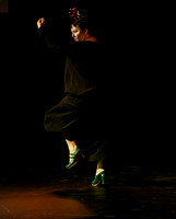 Salon_Flamenco_20190425_0012