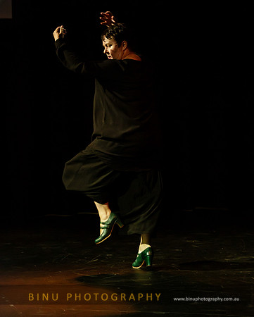 Salon_Flamenco_20190425_0012