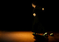 Salon_Flamenco_20190425_0003