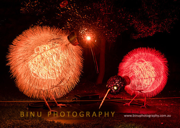 Vivid_Sydney_2017_20170615_0021