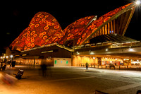 Vivid_Sydney_2009_20090612_0015