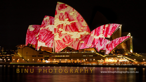 Vivid_Sydney_2009_20090612_0034