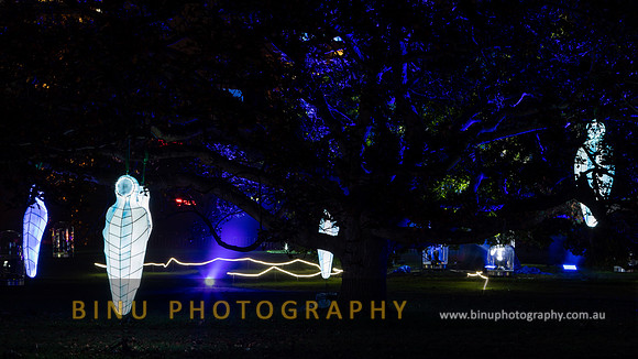 Vivid_Sydney_2017_20170615_0024