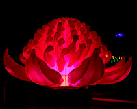Vivid_Sydney_2017_20170615_0017
