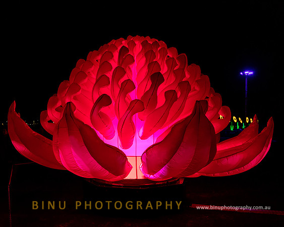 Vivid_Sydney_2017_20170615_0017