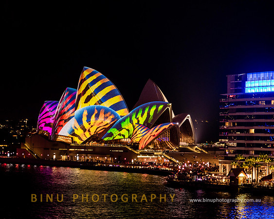 Vivid_Sydney_2017_20170615_0049