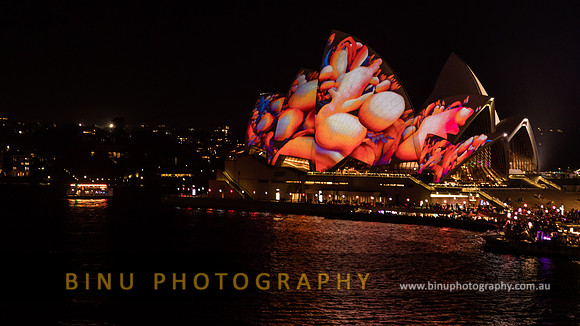 Vivid_Sydney_2017_20170615_0044