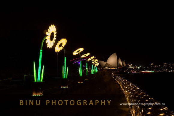 Vivid_Sydney_2017_20170615_0018