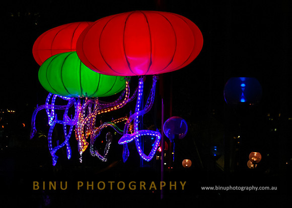 Vivid_Sydney_2011_20110531_0001