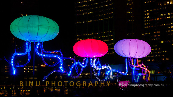 Vivid_Sydney_2011_20110602_0058