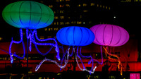 Vivid_Sydney_2011_20110531_0002
