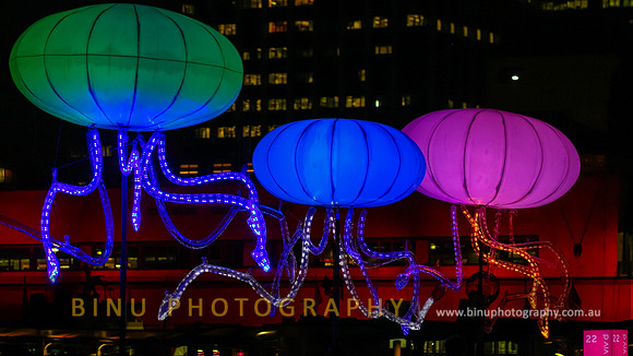 Vivid_Sydney_2011_20110531_0002