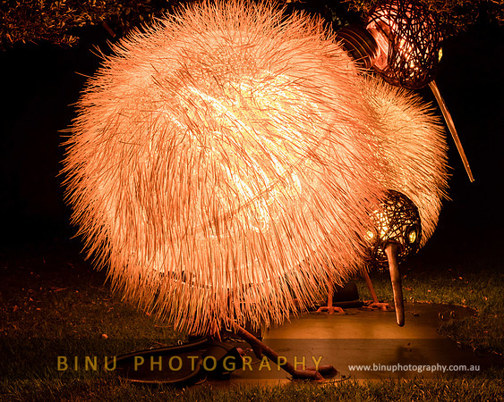 Vivid_Sydney_2017_20170615_0022