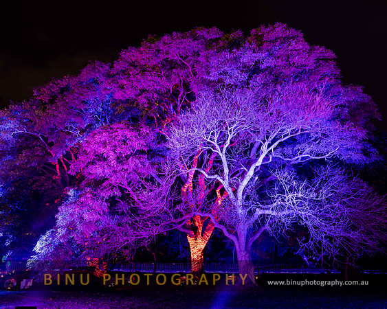 Vivid_Sydney_2017_20170615_0026