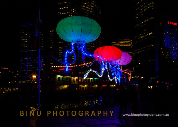 Vivid_Sydney_2011_20110602_0060