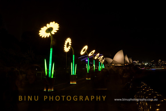 Vivid_Sydney_2017_20170615_0019
