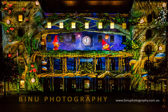 Vivid_Sydney_2015_20150527_0064