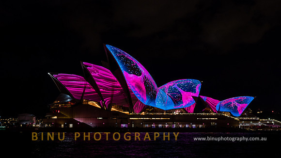 Vivid_Sydney_2017_20170526_0007