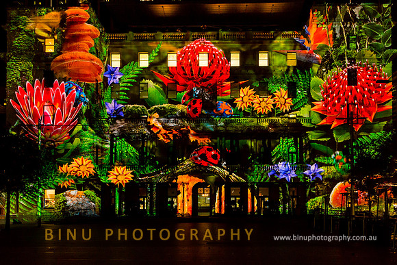 Vivid_Sydney_2015_20150527_0059-2