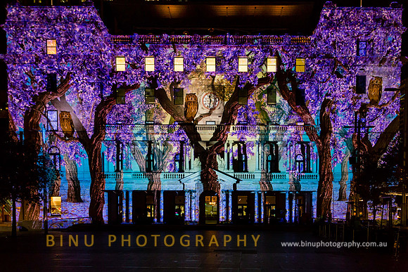 Vivid_Sydney_2015_20150527_0062