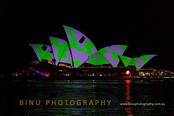 Vivid_Sydney_2015_20150527_0038
