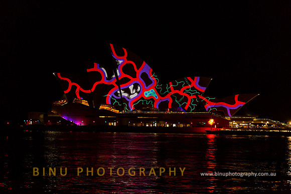 Vivid_Sydney_2015_20150527_0043